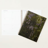 Wisterien in Bloom - Blumenkomposition Planer (Anzeige)