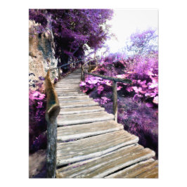 Wisterntreppe Fotodruck