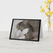 Wistful Katze vermisst Sie Gruß-Karte Karte (Gelbe Blume)