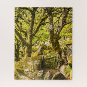 Wistman's Wood Dartmoor Devon England Puzzle