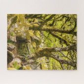 Wistman's Wood Dartmoor Devon England Puzzle (Horizontal)