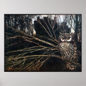 Witch in Owl Form Poster (Vorne)