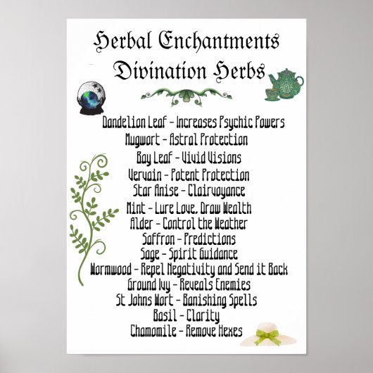 Witchcraft Herbs Psychische Entwicklung Zauber Pos Poster (Vorne)