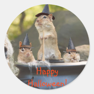 Witchy Chipmunks-Aufkleber Runder Aufkleber