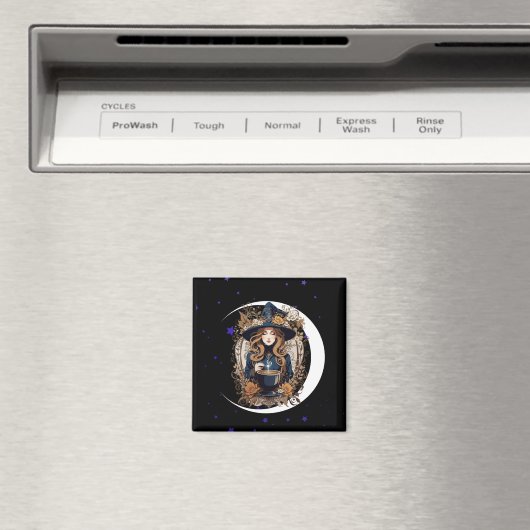 Witchy Kitchen Magnet (In Situ (Geschirrspüler))