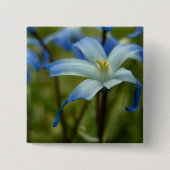 witherly button (Vorderseite)