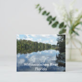 Withlacochee River Postkarte (Stehend Vorderseite)