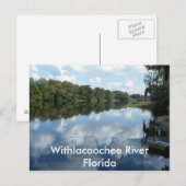 Withlacochee River Postkarte (Vorne/Hinten)