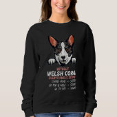 without Welsh Corgi dog everything is stupid_3 Sweatshirt (Vorderseite)