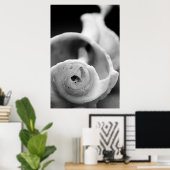 Witterungsbedingte Muschel Poster (Heimbüro)