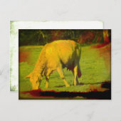 Witterungsweide Postkarte (Vorne/Hinten)