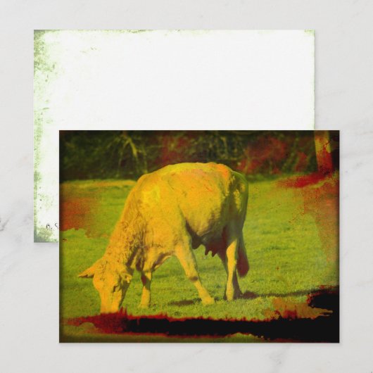 Witterungsweide Postkarte (Vorne/Hinten)