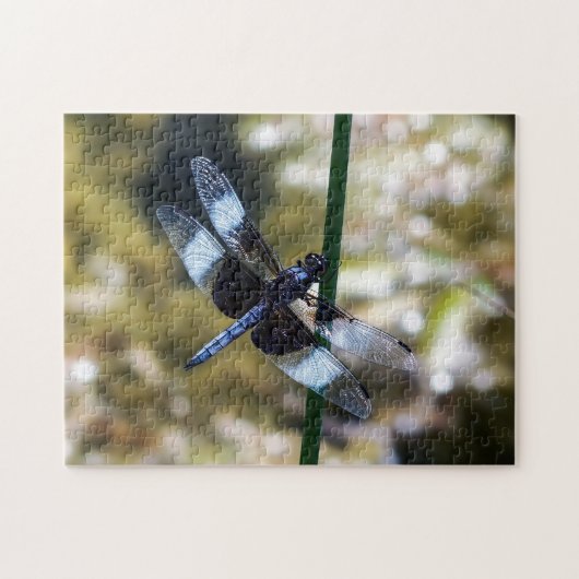 Witwen-Abstreicheisen-Libellen-Puzzlespiel Puzzle (Horizontal)