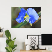 Witwen reißen Poster (Heimbüro)