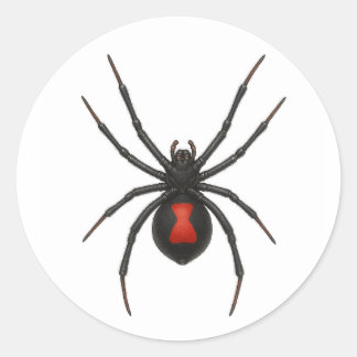 Witwenwarnung: Schwarze Witwenspinne Runder Aufkleber