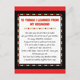 Witzige Dinge, die ich aus meinem Keeshond gelernt Postkarte