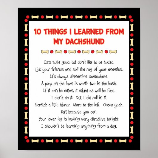 Witzige Dinge, die ich aus meiner Dackel gelernt h Poster (Vorne)