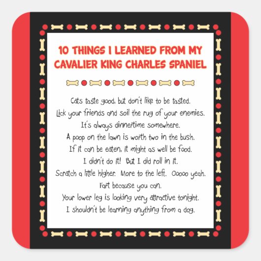 Witzige Dinge, die ich vom Cavalier King Charles g Quadratischer Aufkleber (Vorderseite)