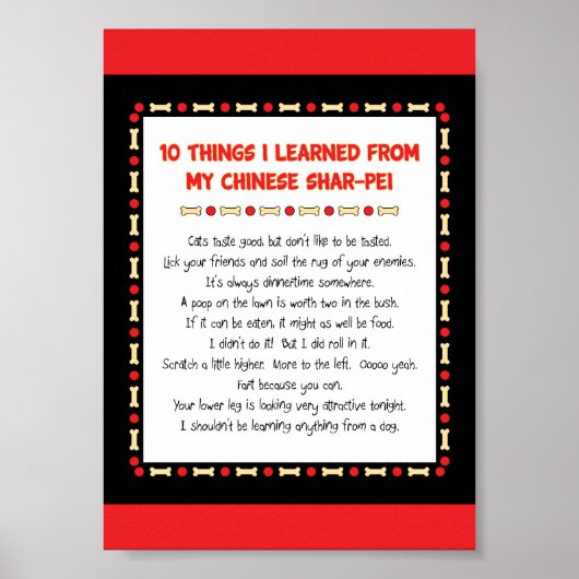 Witzige Dinge, die ich von meinem chinesischen Sha Poster (Vorne)