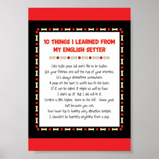 Witzige Dinge, die ich von meinem Englischunterric Poster