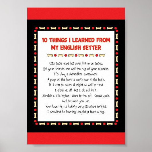 Witzige Dinge, die ich von meinem Englischunterric Poster (Vorne)