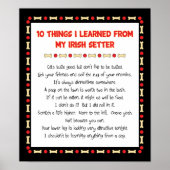 Witzige Dinge, die ich von meinem irischen Setter  Poster (Vorne)