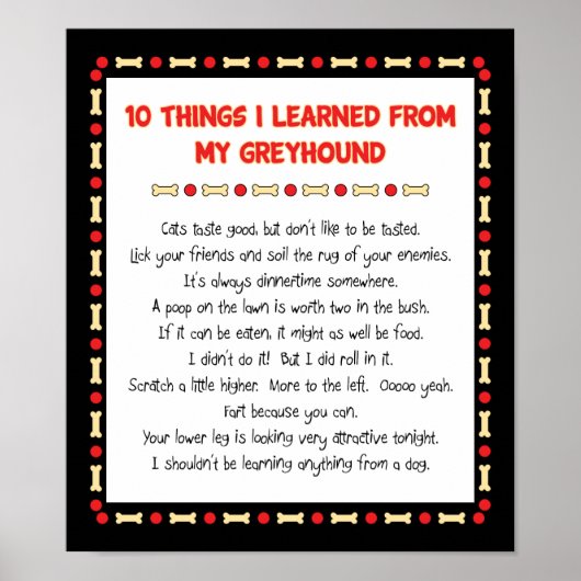Witzige Dinge, die ich von meinem Windhund gelernt Poster (Vorne)