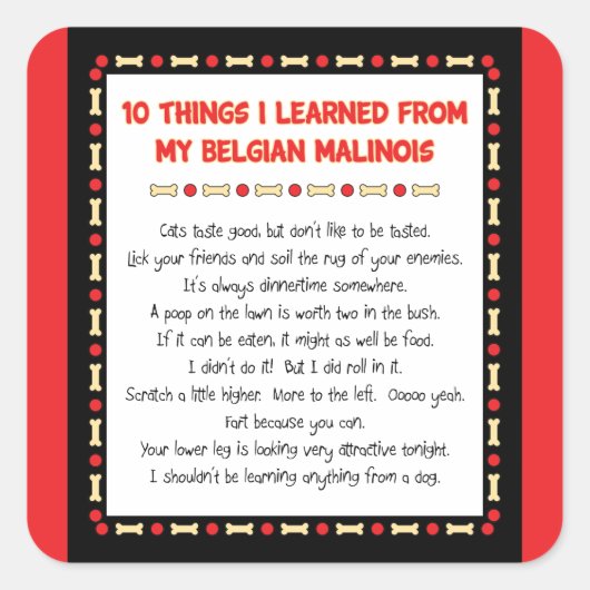 Witzige Dinge, die ich von meinen belgischen Malin Quadratischer Aufkleber (Vorderseite)
