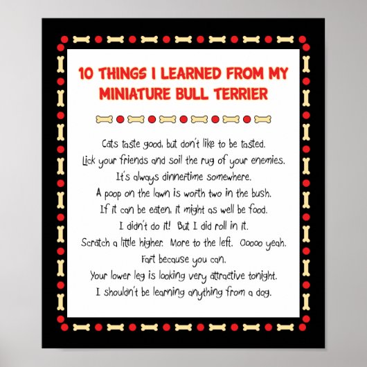 Witzige Dinge, die ich von Mini Bull Terrier geler Poster (Vorne)