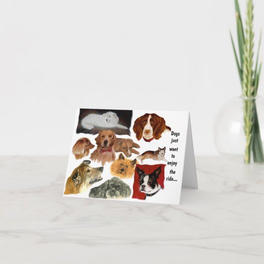 Witzige Gewohnheiten von Hunden bei Katzen Karte (Vorderseite)