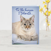 Witzige Katze - gegenüber dem Menschen tolerieren Karte (Gelbe Blume)