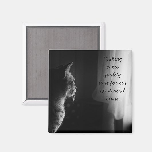 Witzige Katze mit existenzieller Krise Magnet (Vorderseite/Rückseite)