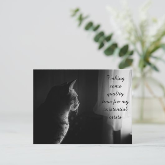 Witzige Katze mit existenzieller Krise Postkarte (Stehend Vorderseite)