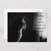 Witzige Katze mit existenzieller Krise Postkarte (Vorne/Hinten)