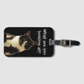 Witzige Katze "Was schaust du dir an?" Slogan Gepäckanhänger (Vorderseite (Horizontal))