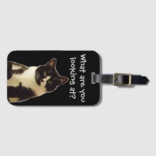 Witzige Katze "Was schaust du dir an?" Slogan Gepäckanhänger (Vorderseite (Horizontal))