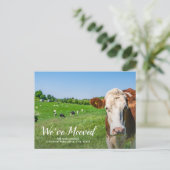 Witzige Kuh, neues Haus, persönliche Adresse, wir Postkarte (Stehend Vorderseite)