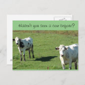 Witzige Postkarte: "Hast du noch nie eine Kuh gese Postkarte (Vorne/Hinten)