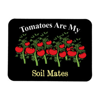 Witzige Tomaten sind meine Bodenmädchen Magnet