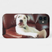 Witziger Bullenhund auf dem Sofa Case-Mate iPhone Hülle (Rückseite (Horizontal))