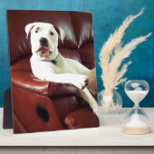 Witziger Bullenhund auf dem Sofa Fotoplatte (Seite)