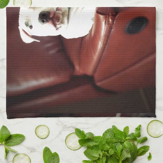 Witziger Bullenhund auf dem Sofa Geschirrtuch (Gefaltet)