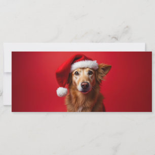 Witziger Hund auf rotem Grund