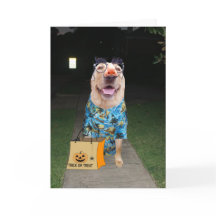 Witziger Labrador als menschliche Halloween-Karte