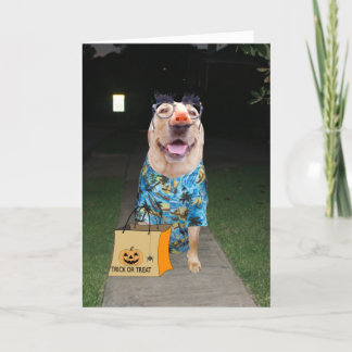 Witziger Labrador als menschliche Halloween-Karte  Karte