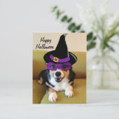 Witziges Halloween Corgi in Kostüm Postkarte (Stehend Vorderseite)