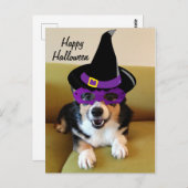 Witziges Halloween Corgi in Kostüm Postkarte (Vorne/Hinten)