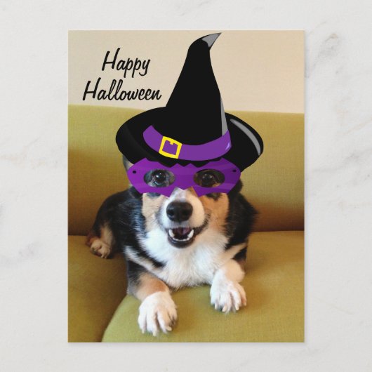 Witziges Halloween Corgi in Kostüm Postkarte (Vorderseite)