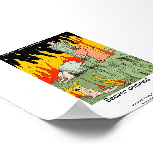 Witziges Poster: Biber beschämt Poster (Ecke)