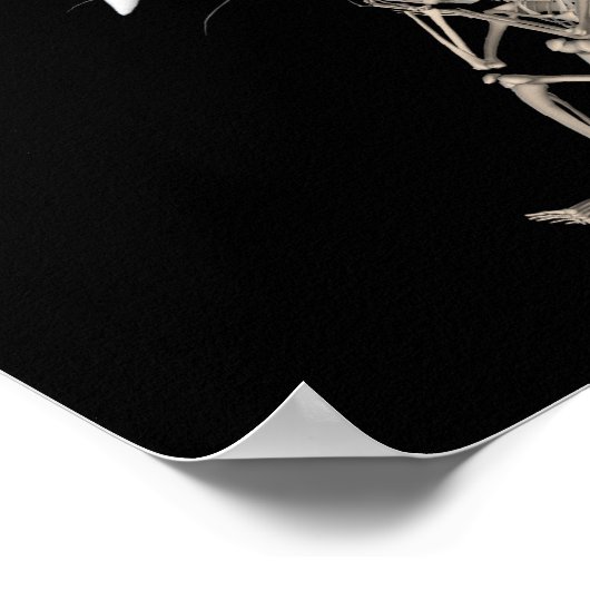 Witziges Skelett und Geisterhaus Poster (Ecke)